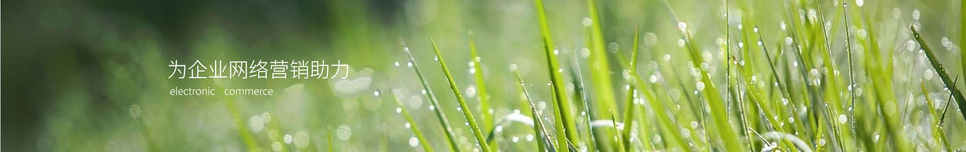 ҲƼ޹˾